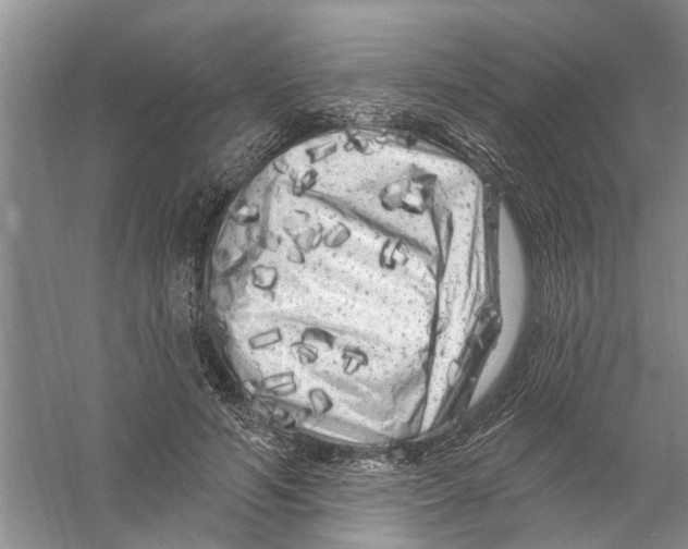 X0000058830594200510282225
