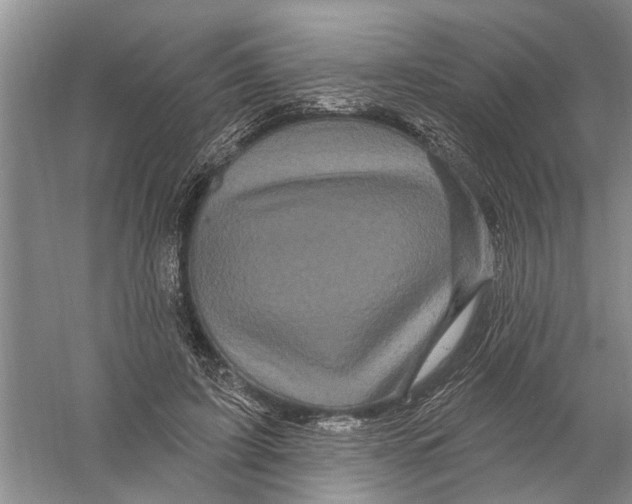 X0000058830595200510282225