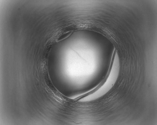 X0000058830601200510282225