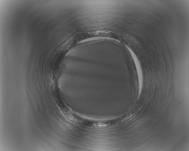 X0000058830607200510282225