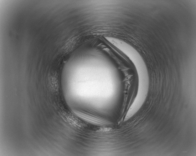 X0000058830609200510282225