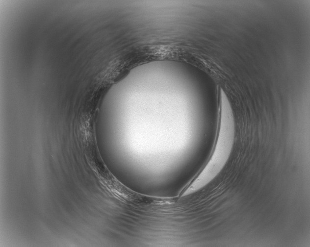 X0000058830611200510282225