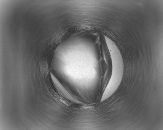 X0000058830617200510282225