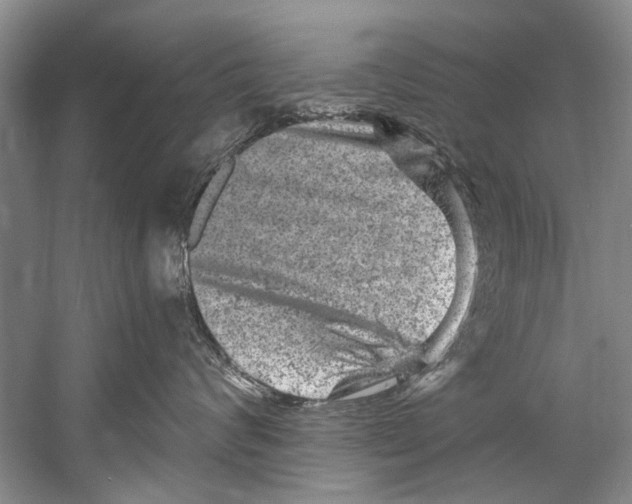 X0000058830624200510282225