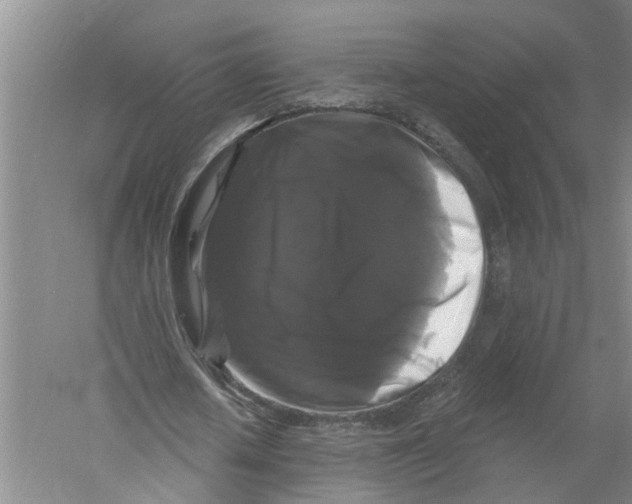 X0000058830626200510282224