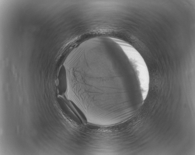 X0000058830640200510282224
