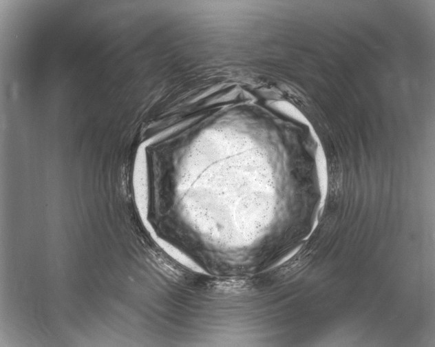 X0000058830669200510282225
