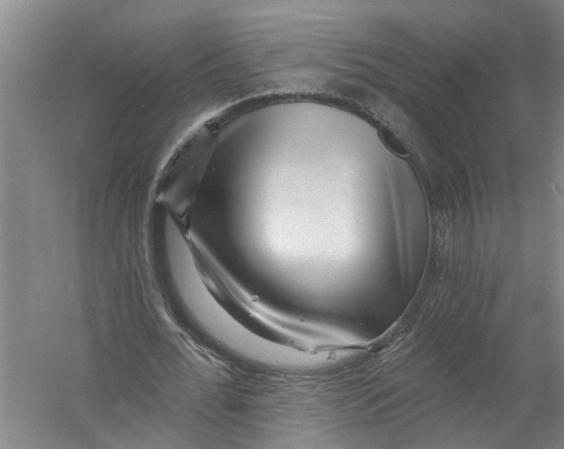 X0000058830676200510282224