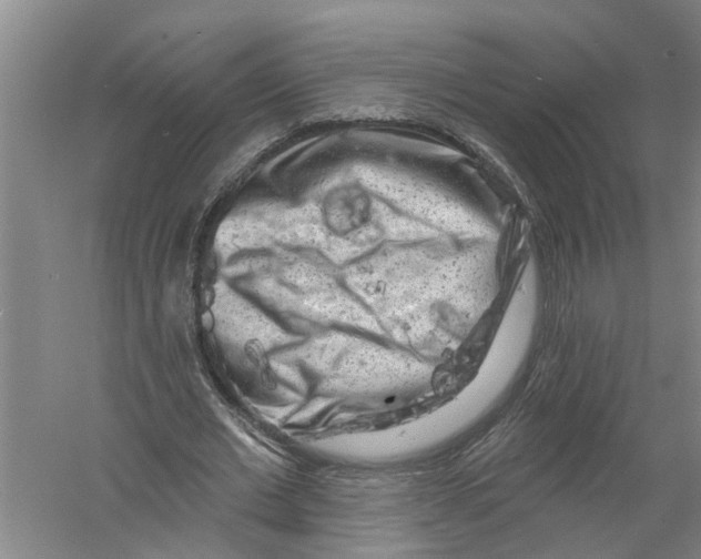 X0000058830677200510282224