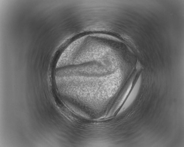 X0000058830680200510282224