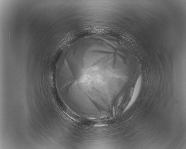 X0000058830696200510282223