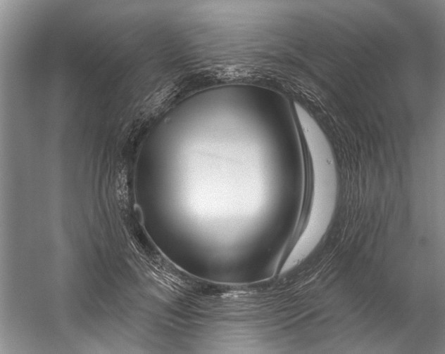 X0000058830700200510282223