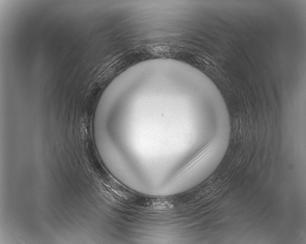 X0000058830702200510282223