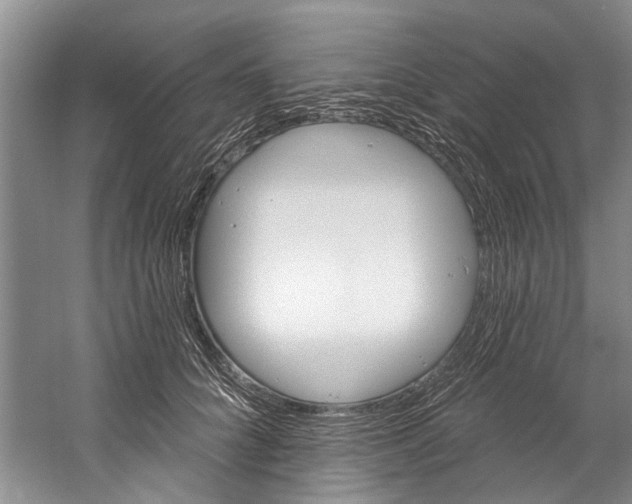 X0000058830704200510282223