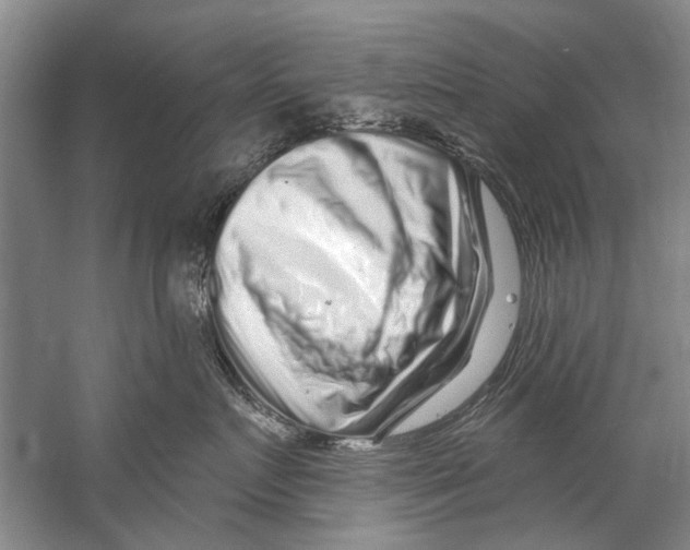 X0000058830719200510282223