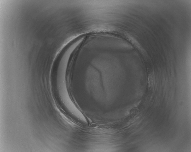 X0000058830722200510282222