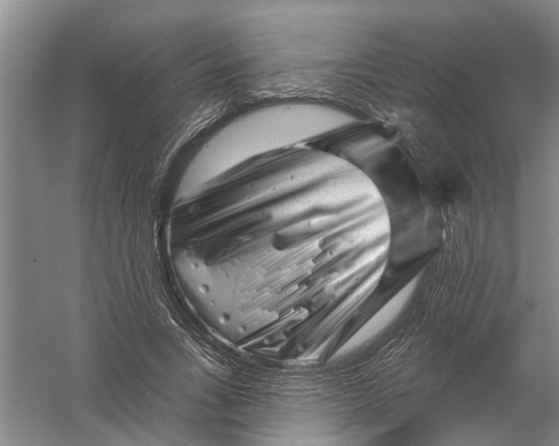 X0000058830735200510282222