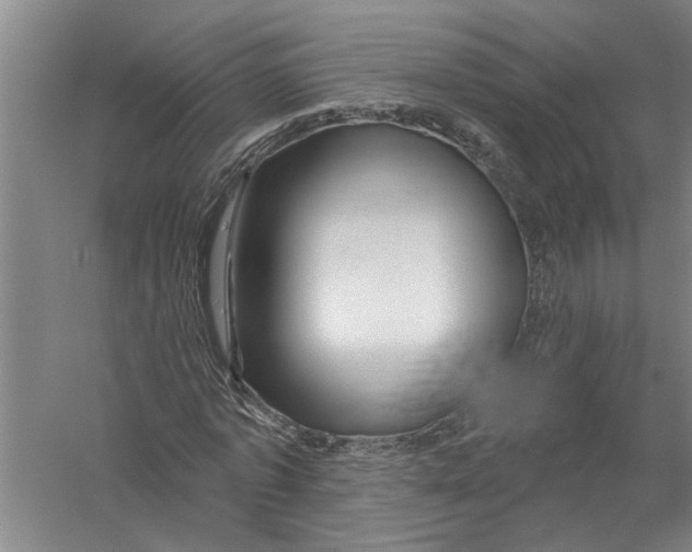 X0000058830773200510282222