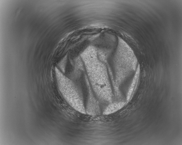 X0000058830776200510282222