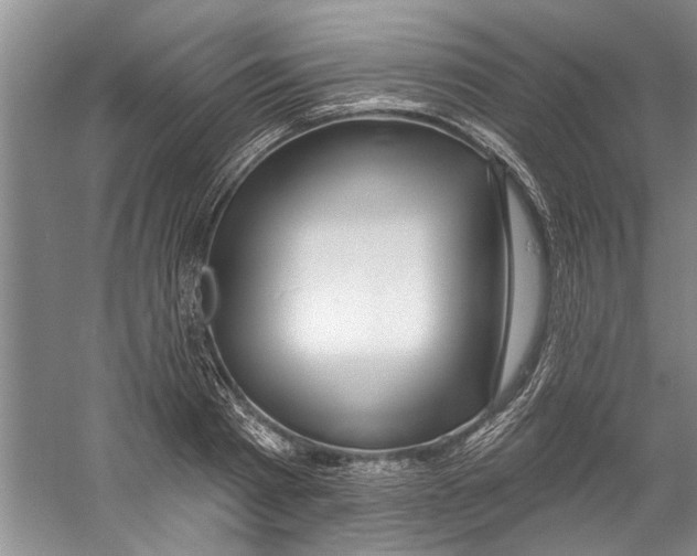X0000058830793200510282222