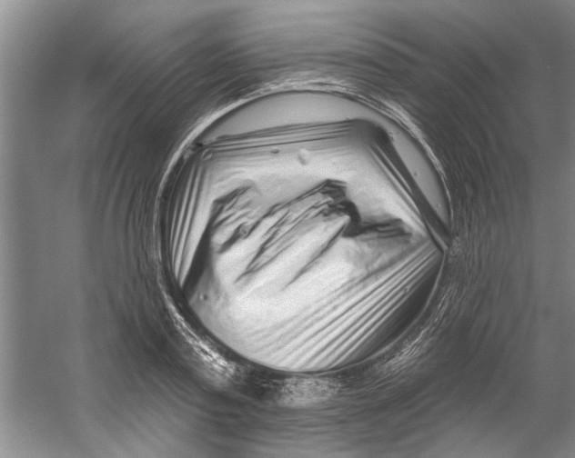 X0000058830795200510282222