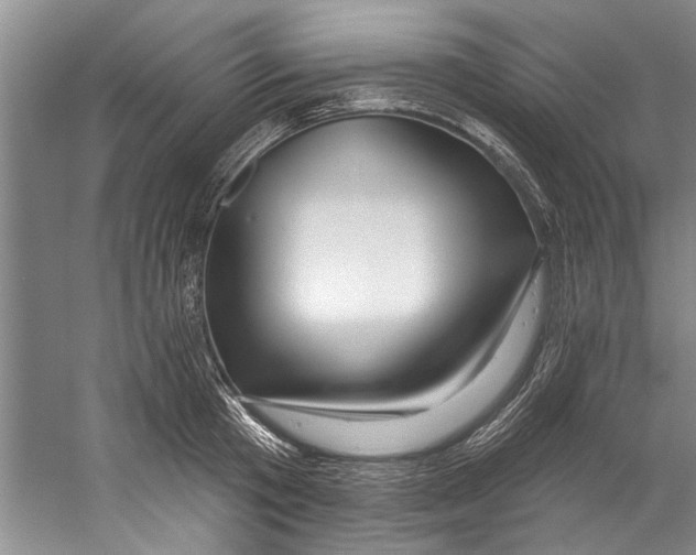X0000058830801200510282222
