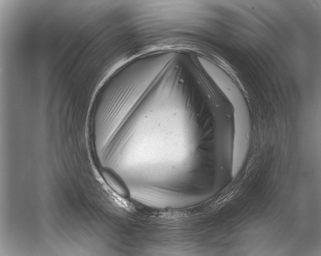 X0000058830803200510282222