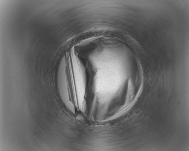 X0000058830821200510282221