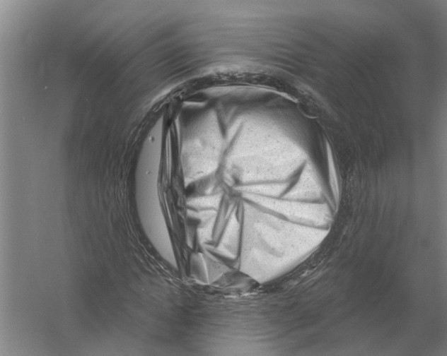 X0000058830822200510282221