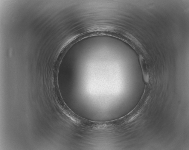 X0000058830826200510282221