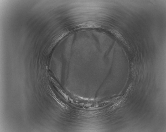 X0000058830881200510282220