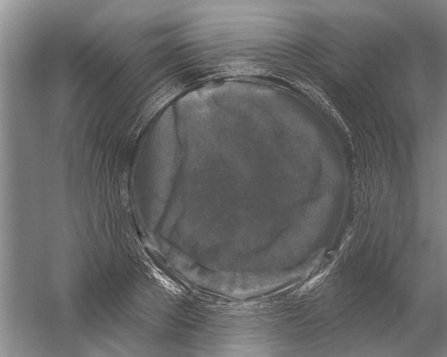 X0000058830889200510282220