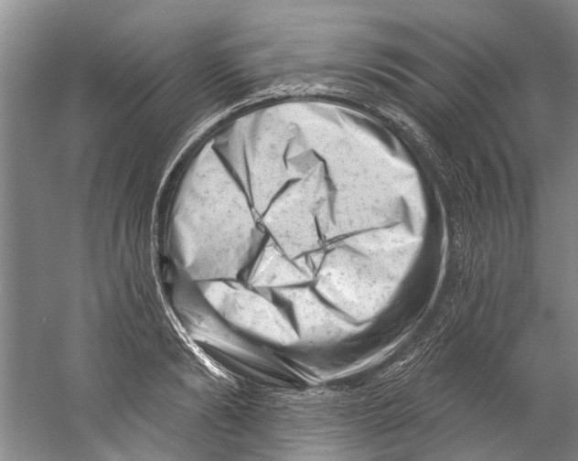 X0000058830894200510282220