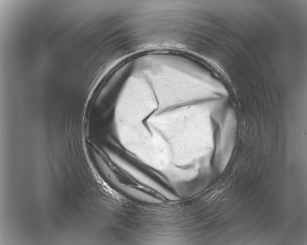 X0000058830895200510282220