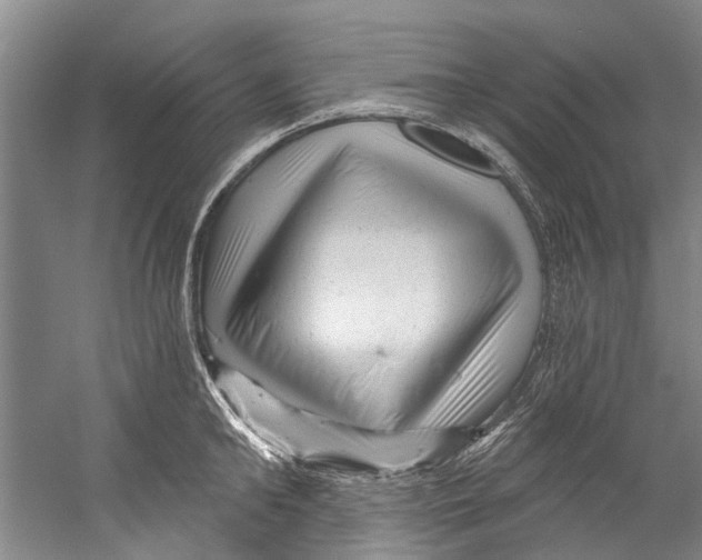 X0000058830902200510282220