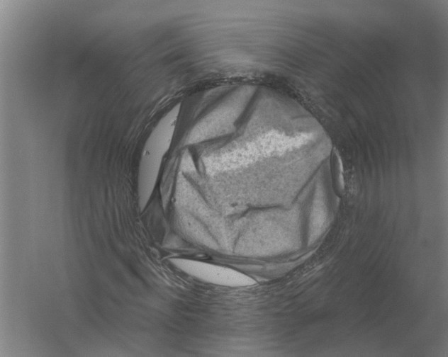 X0000058830916200510282219
