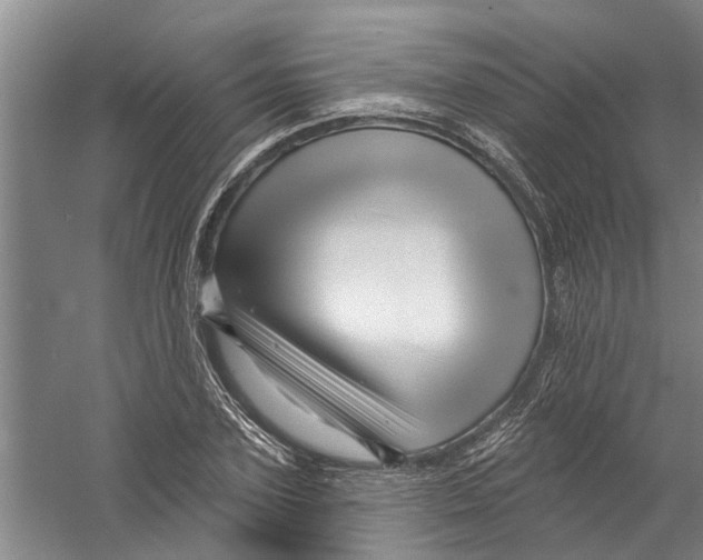 X0000058830931200510282219