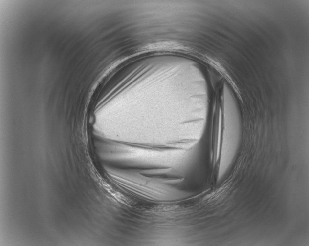 X0000058830939200510282219