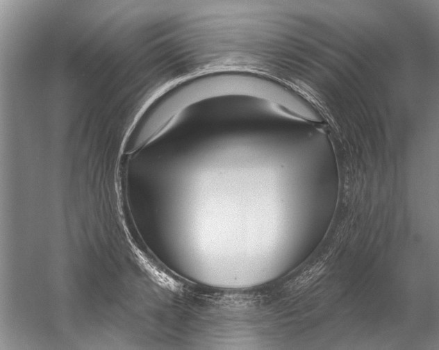 X0000058830942200510282219
