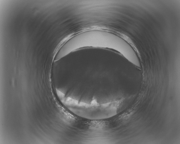 X0000058830954200510282220