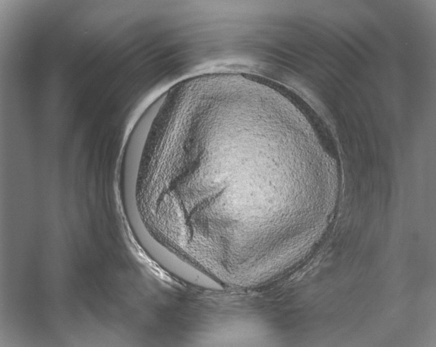 X0000058830960200510282220