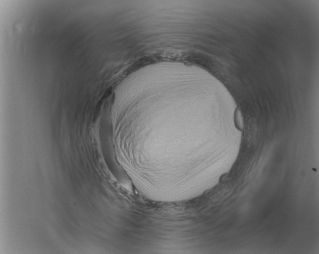 X0000058830962200510282219
