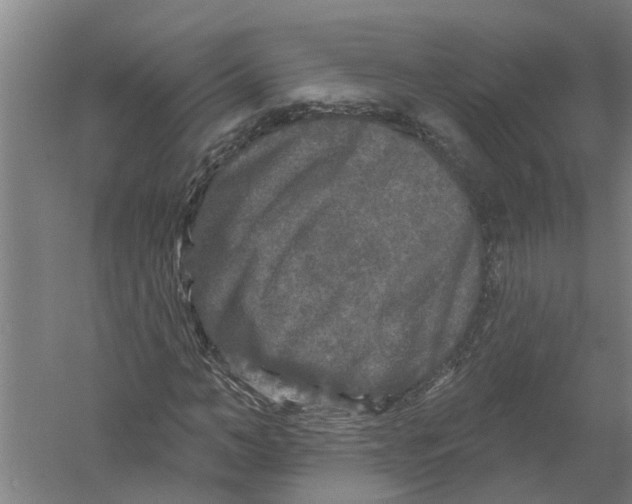 X0000058830966200510282219