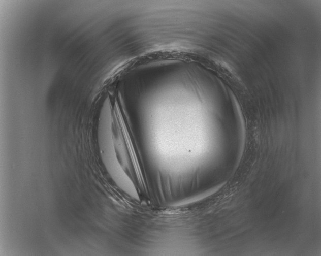 X0000058830968200510282219