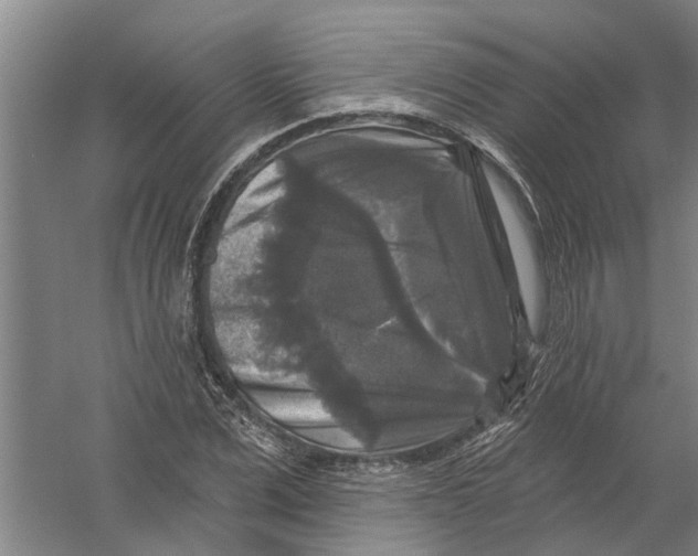 X0000058830975200510282219