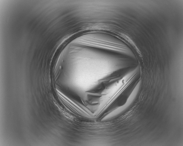 X0000058830980200510282219