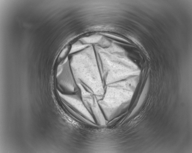 X0000058830992200510282218