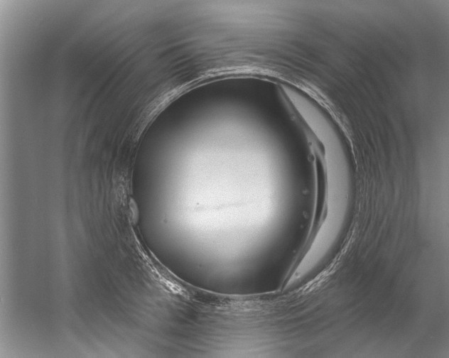 X0000058830993200510282218