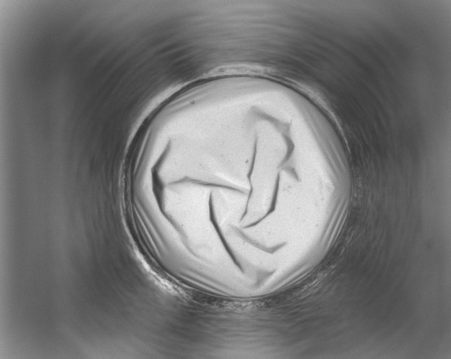 X0000058831003200510282218