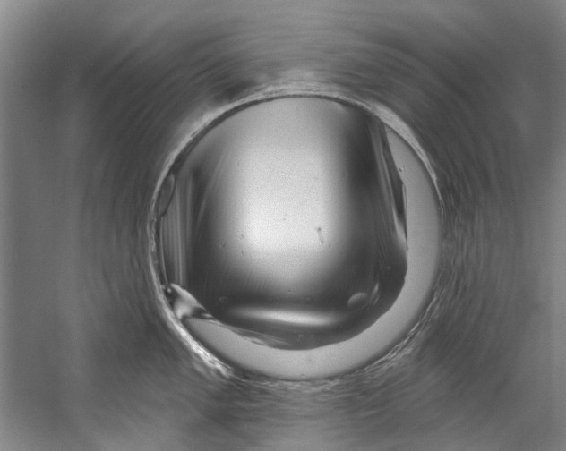 X0000058831005200510282218